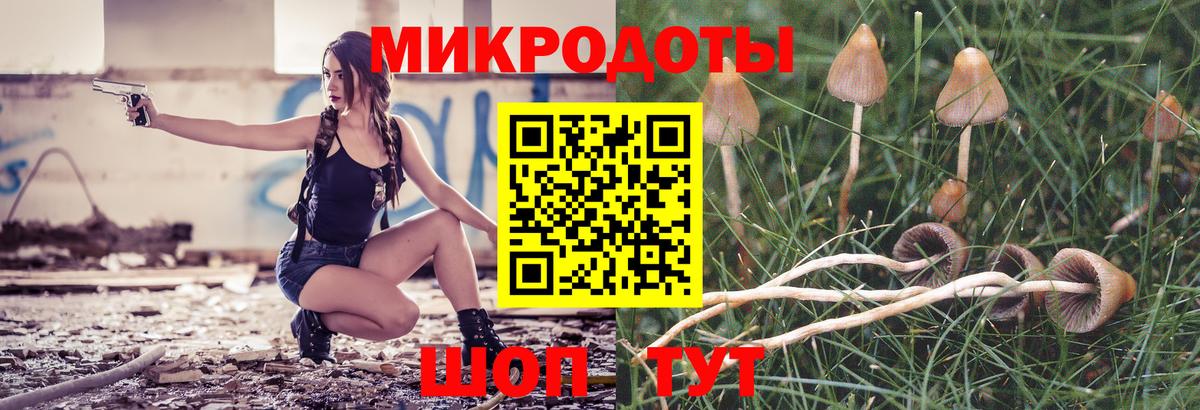 Псилоцибиновые грибы Cubensis Городец