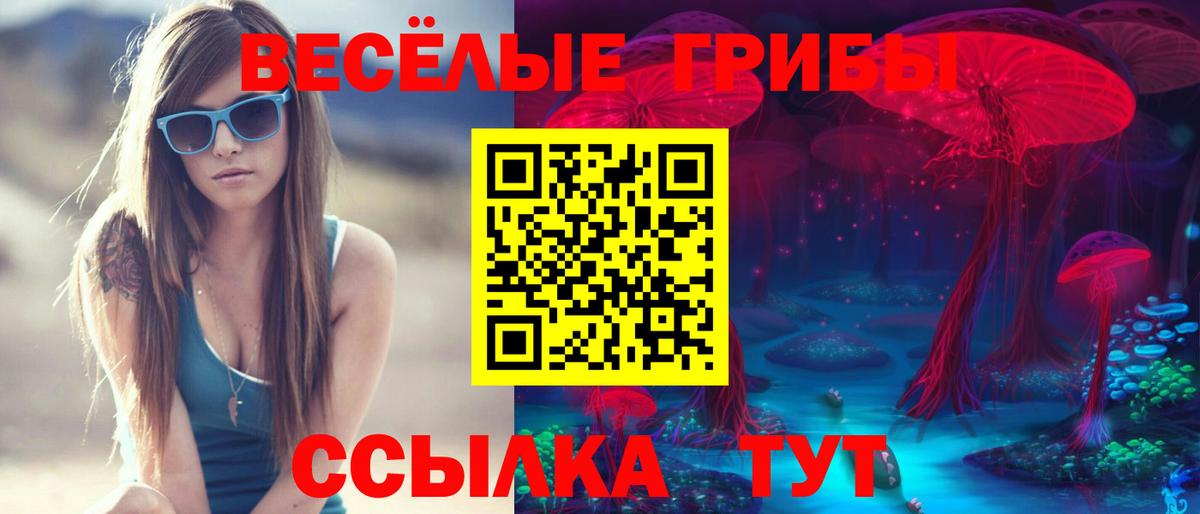Псилоцибиновые грибы Psilocybe  Вход с VPN  Галлюциногенные грибы Psilocybine cubensis  Городец 